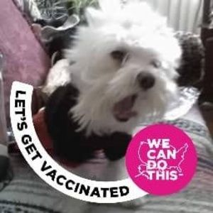 Meet your Posher, Nelly